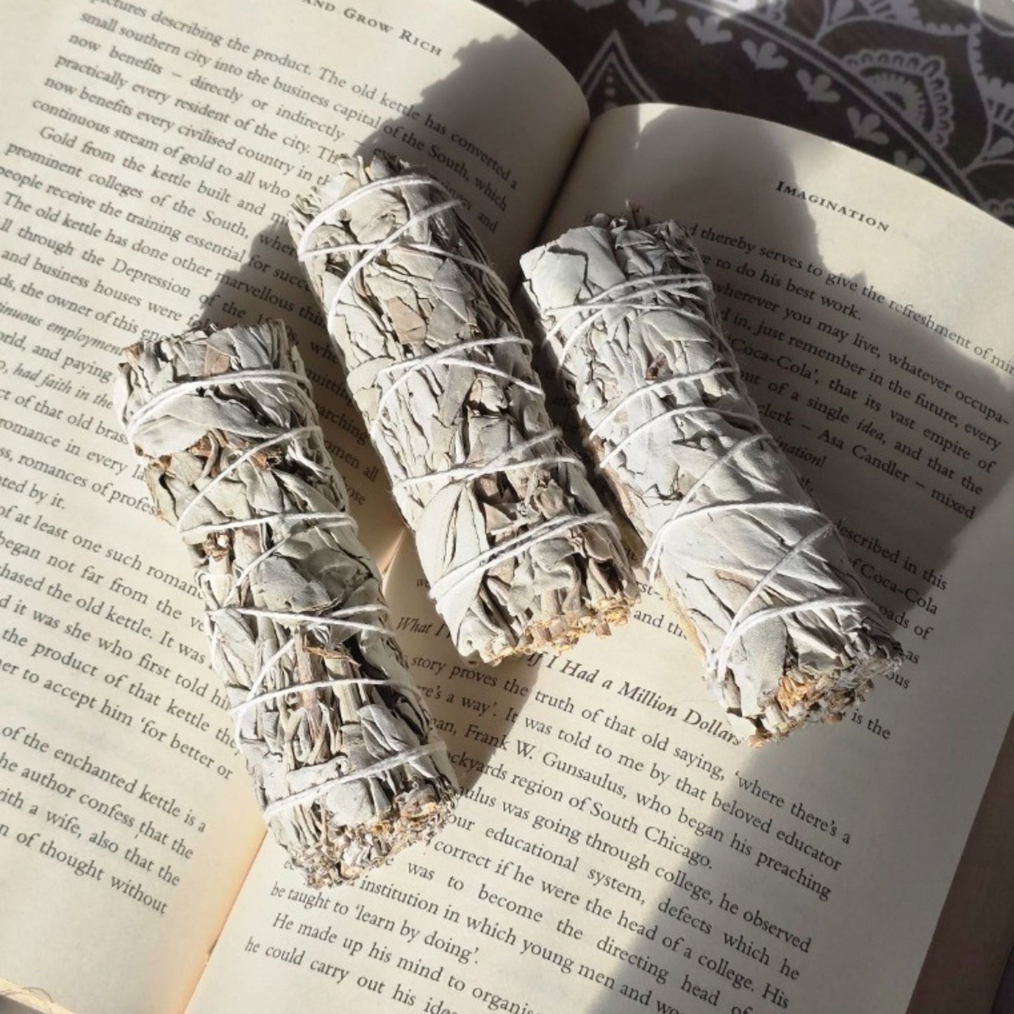 Large White Sage Stick for Smudging