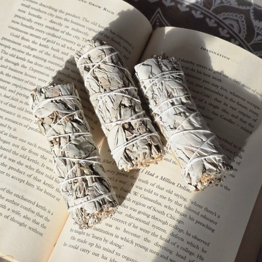 Large White Sage Stick for Smudging