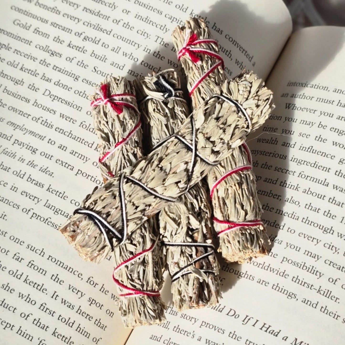 Small White Sage Stick for Smudging