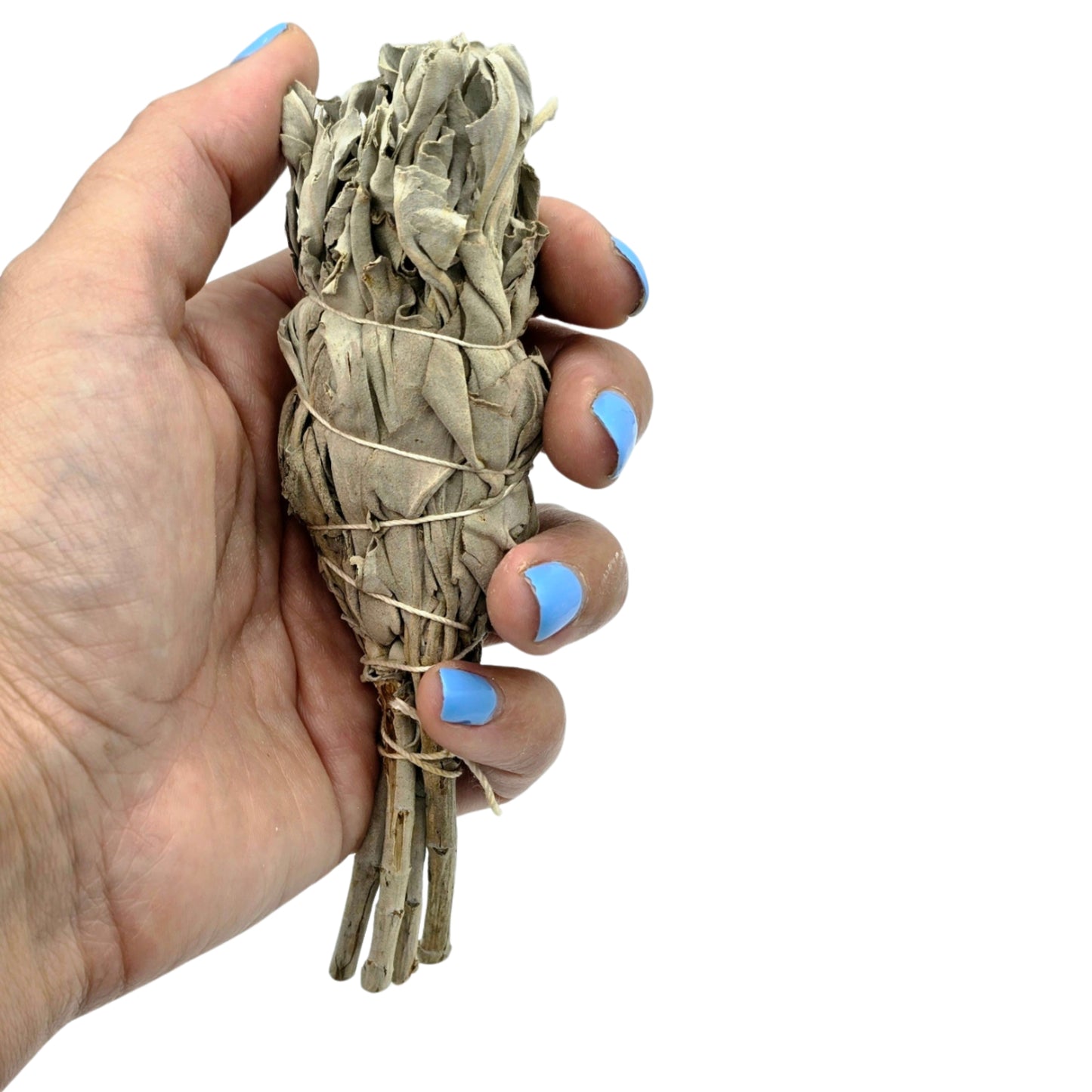 Medium White Sage Stick for Smudging