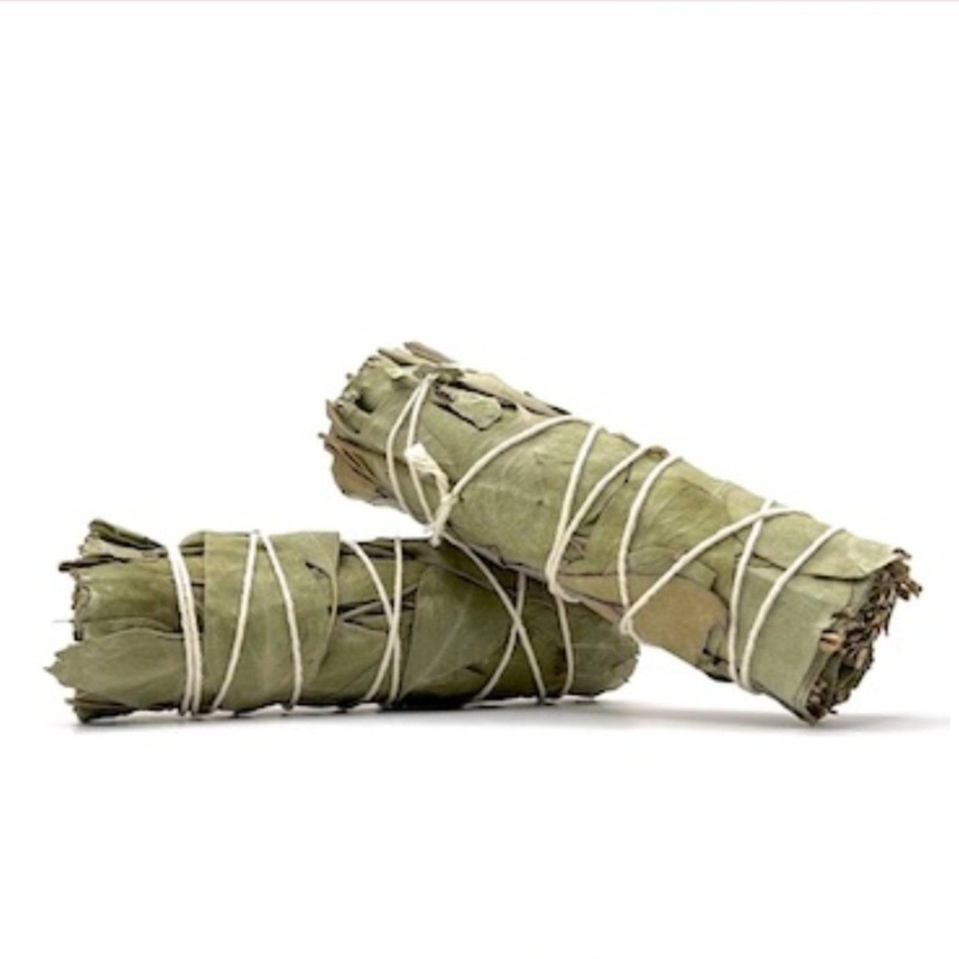 Eucalyptus Smudge Kit, Ritual Tools, Herbal Smudge and Energy Cleansing